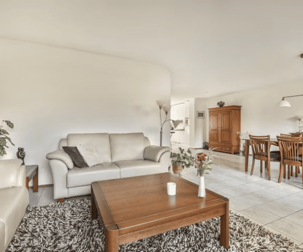 Accent wall painting in an interior project in Sarasota.